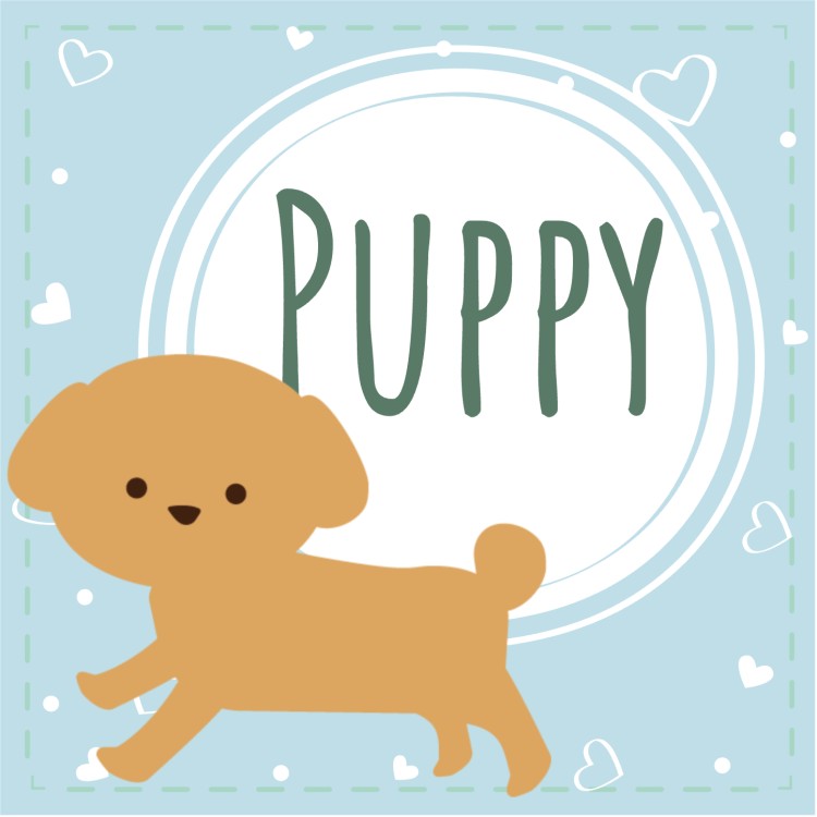 Puppy